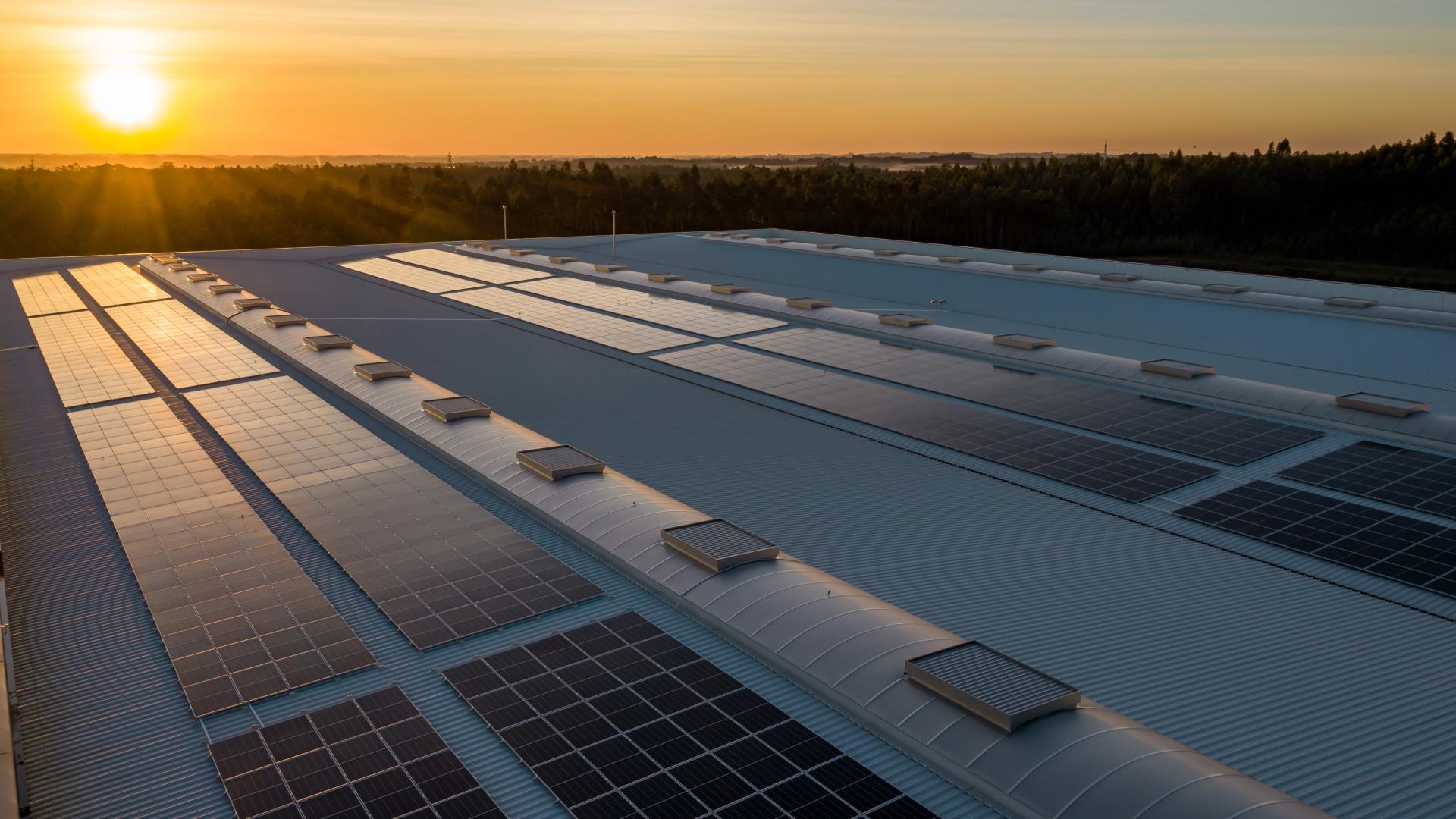 the modernization fund-self-consumption-2024-crius